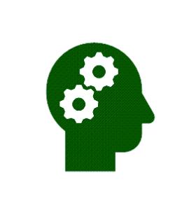 Beginner Excel Test