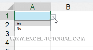 DropDown menu with Manual entry DropDown menu with Manual entry