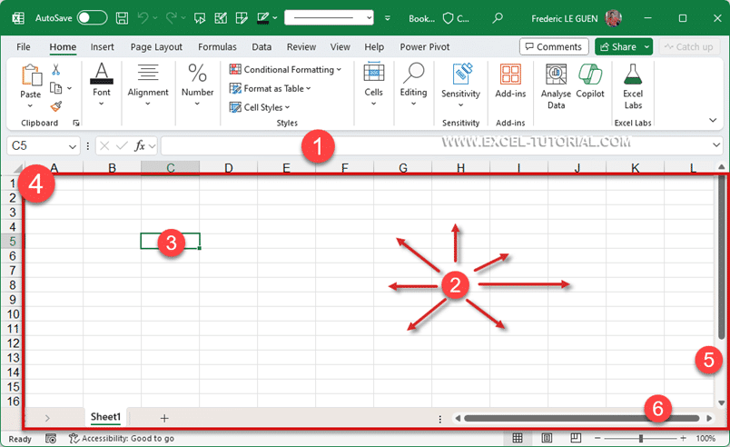 The Excel worksheet