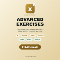 Excel exercises advanced month