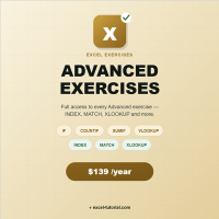 Excel exercises advanced yearly