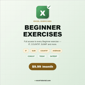Excel exercises beginner month