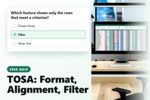 TOSA Excel - Format, Alignment, Filter